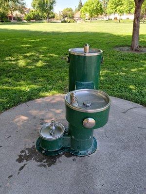 Water fountains for dogs, children, and adults