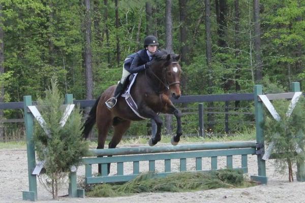 VHSA/BHSA/TIP Horse Shows at Fox Pointe Farm LLC