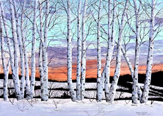 Winter Birches