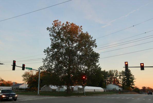 A view at sunset and during the last operating weekend of the year, Oct 28.