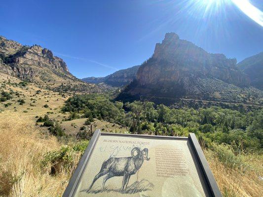 Bighorn Canyon National Recreation Area