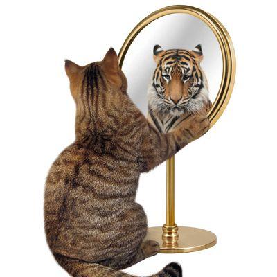 How do you see yourself?  How do you want to see yourself?