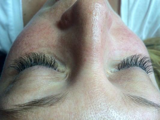 Volume Lashes