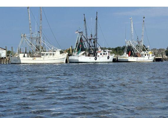 Shrimp boats