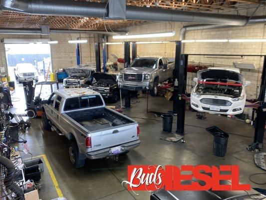 #1 Diesel Repair Shop in Orange County.