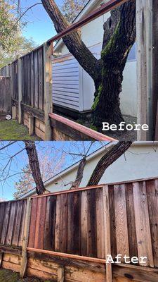 Fence repair. The wood was specifically selected to match other panels.