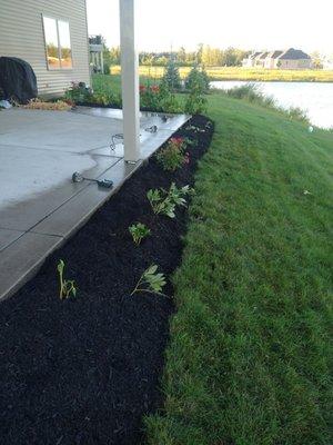 Finished mulch bed