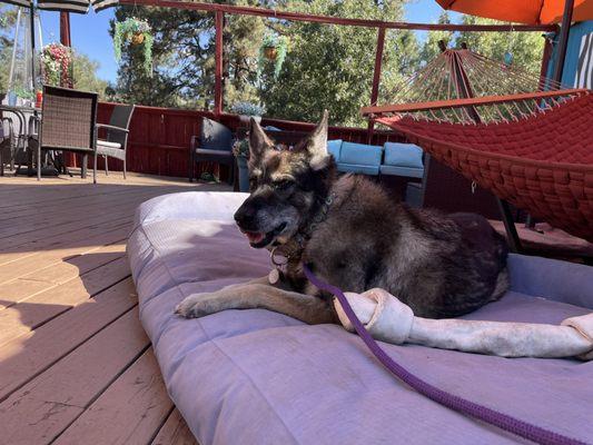 Pilar loved the big bed!