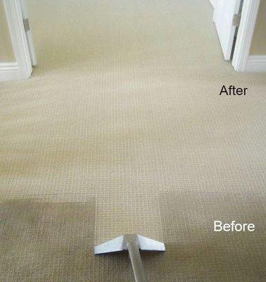 Evergreen Carpet Care