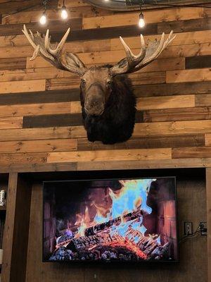 An actual moose head . Loved the fireplace on the tv.