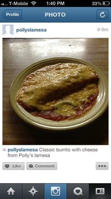 Classic burrito with cheese