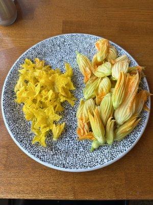 Squash Blossom grown at the Grange