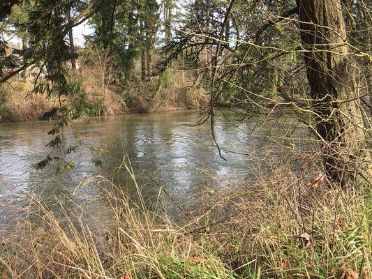 Great walking path and benches to enjoy the scenery or have a picnic. Next to Tualatin River.