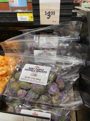 Purple Brussels