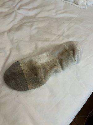 My husband's white sock.