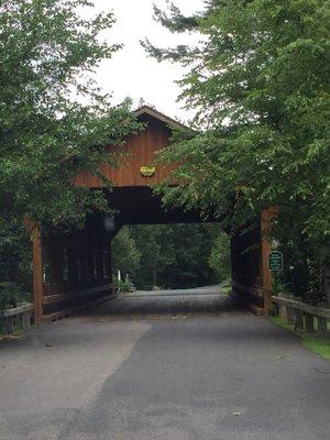 View from Rice Road