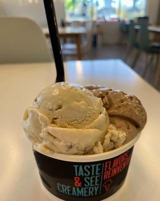 2 scoops of Ice Cream ~ Nutella Bonfire S'mores & Malted Cookie Dough with Pretzels