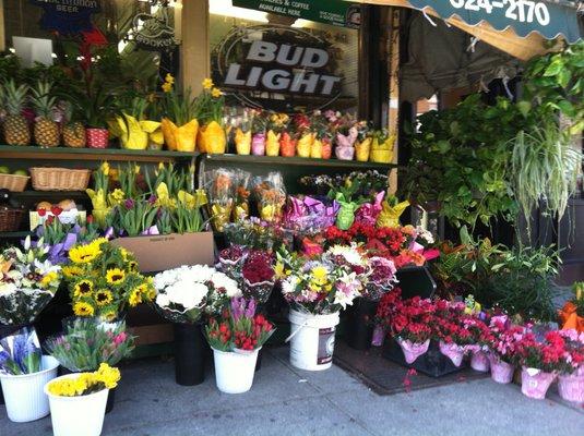 Martinez Grocery in the springtime