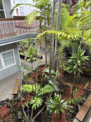 Lovely office lobby/lanai, nice bathrooms, quiet, and serene