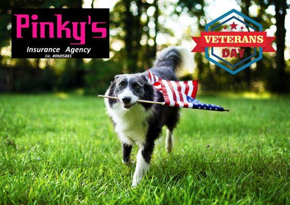 Today we Honor our Vets, Thank you for your Service  We included a link to a great organization that helps our vets.  https://www.petsforvet