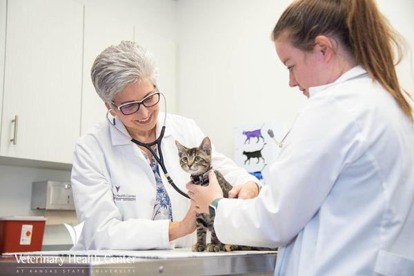 Primary care services in the Hill's Pet Health and Nutrition Center