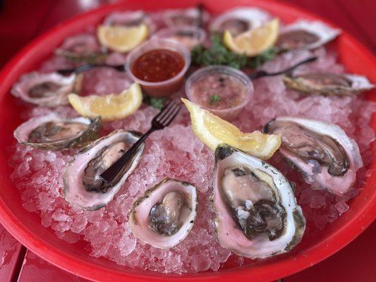 Oysters