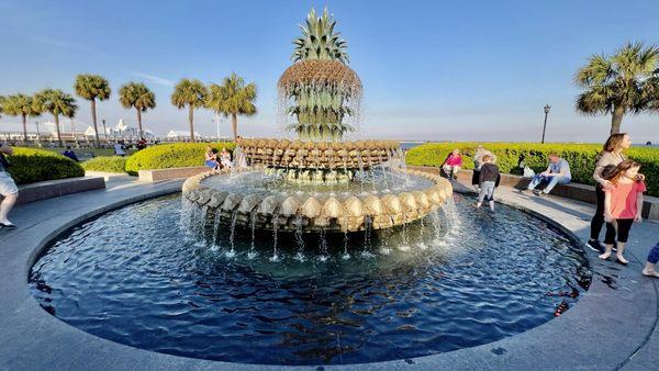 Pineapple Fountain