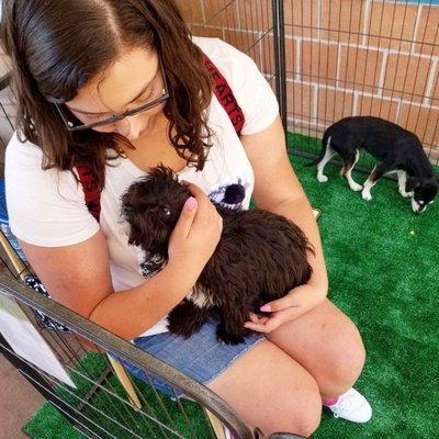 The first meeting at the PetSmart adoption event in Rancho Cucamonga