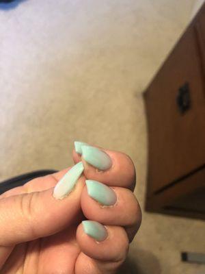 Hawaii Nails