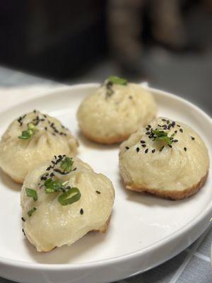 11.20.22 sheng jian bao