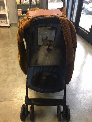 Kitty Perry is excited for her first visit!