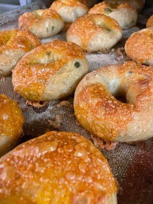 Jalapeño cheddar sourdough bagel