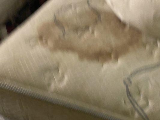 The mattress had a huge blood stain