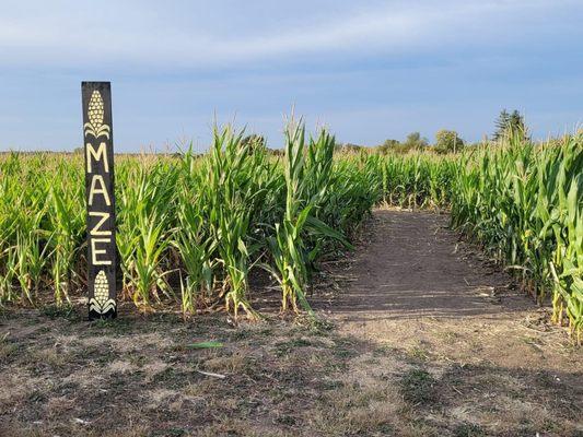 Get lost in our 3 acre corn maze during our fall festival at our pumpkin patch