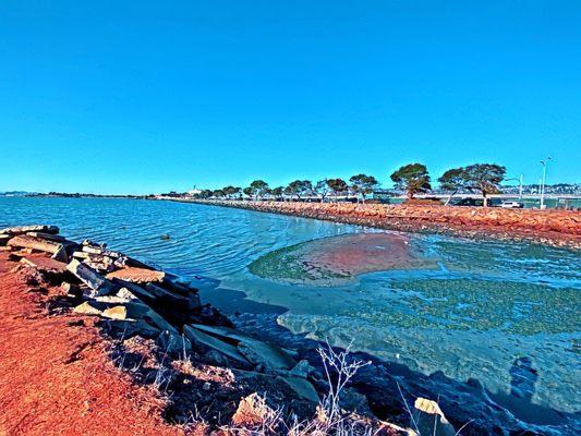 Albany Waterfront Trail