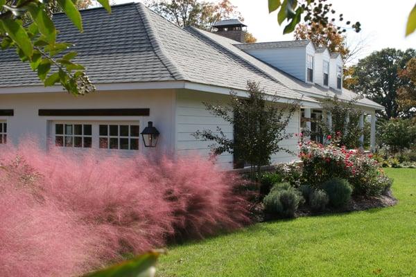 Pink Muhlly Grass along Driveway for a great late summer splash of color__R. Smiddy