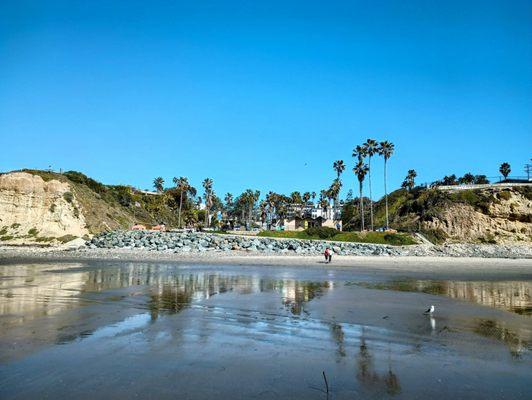 Tourmaline Surfing Park