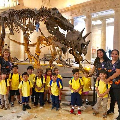 Field Trip to Natural History Museum!