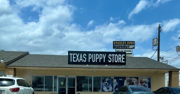 Texas puppy store