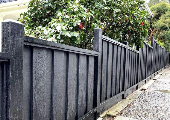 New redwood fence looking up the driveway.