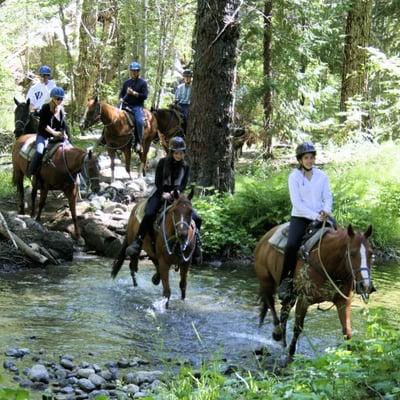 Creek crossing on the way back from the Mariposa Grove