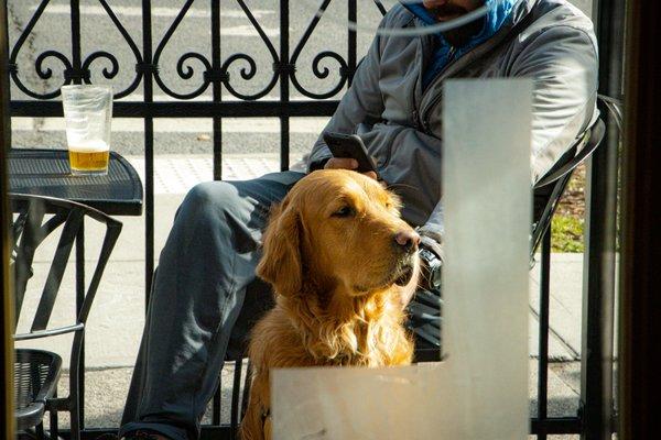 Perfect patio spot for pups