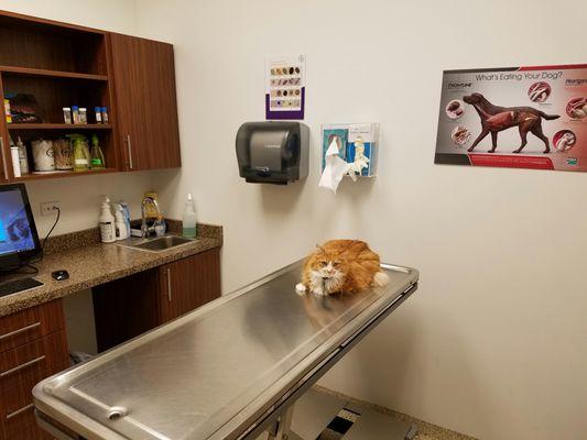 One of the new rooms on the 2016 hospital addition.