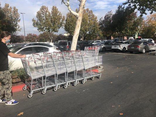 Carts in the middle of Costco parking lot