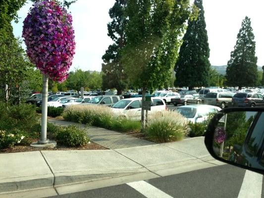 Left side parking lot slammed its so busy!!!