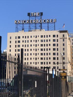 Hollywood Knickerbocker