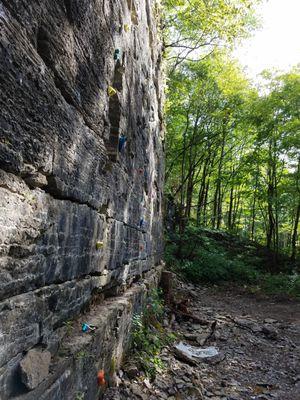 Natural Rockwall 15-20 feet