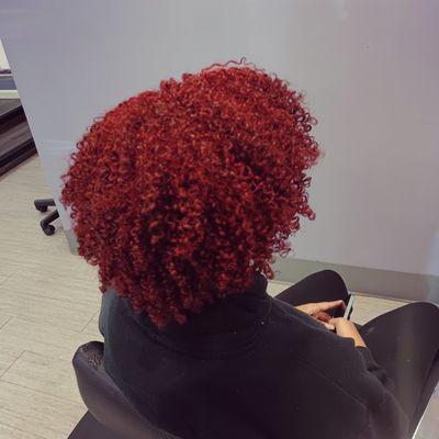 All over color on natural hair with curl definition