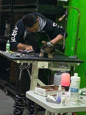 Mi Mascota Pet Shop and Grooming