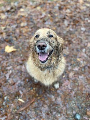 Happy hiking pup!